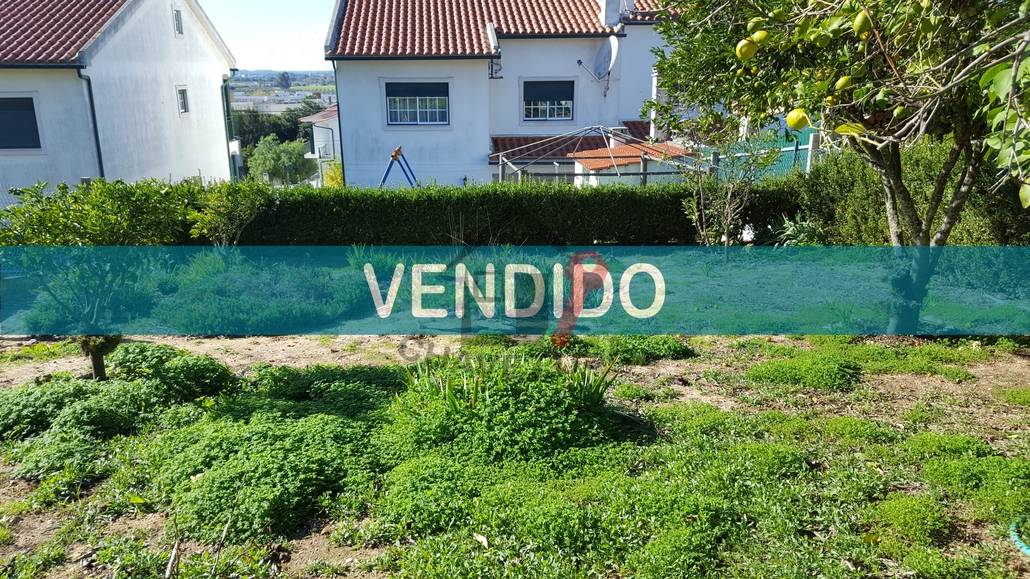 Ver galeria
