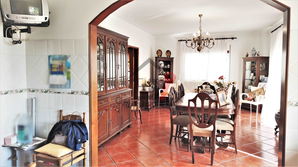 Ver galeria
