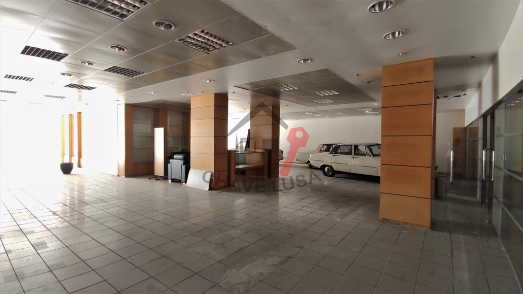 Ver galeria