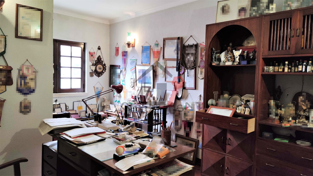Ver galeria
